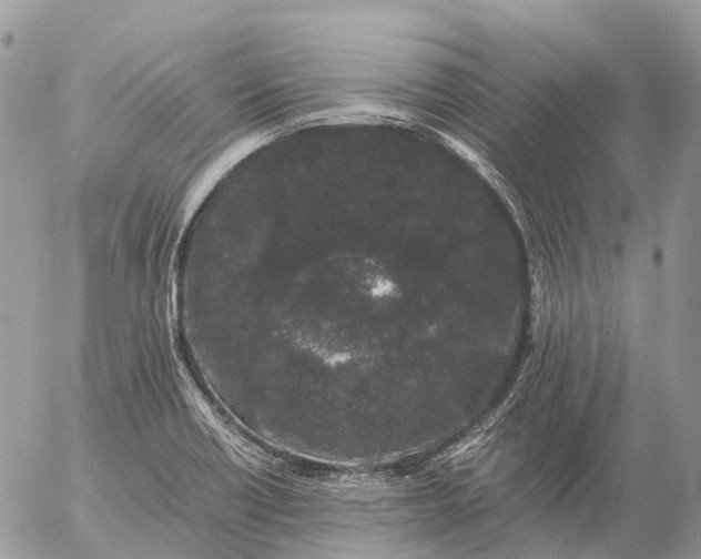 X0000057101418200509231704