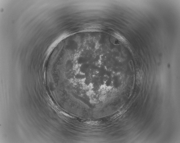 X0000057101419200509231704