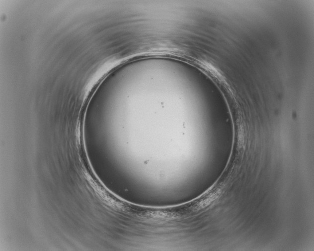 X0000057101420200509231704