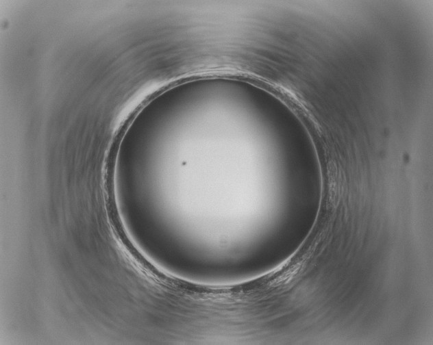 X0000057101422200509231704