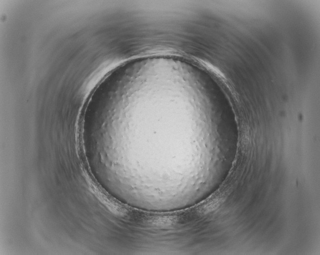 X0000057101423200509231704