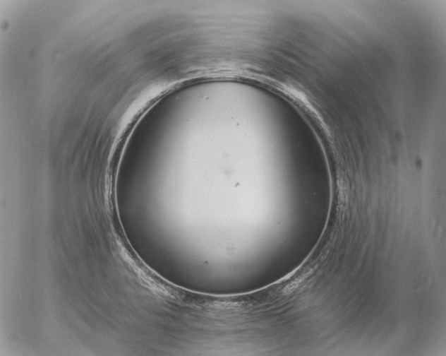 X0000057101424200509231704