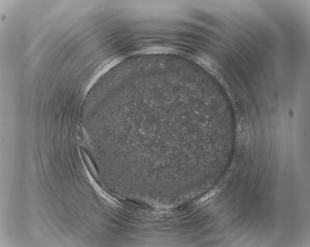 X0000057101425200509231704