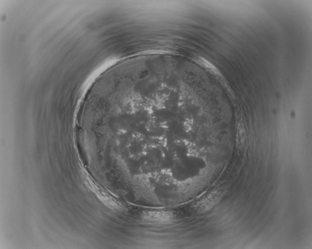 X0000057101427200509231704