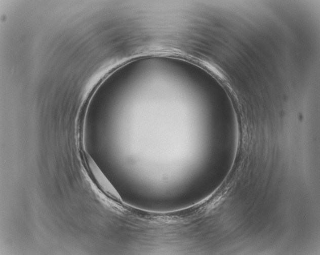 X0000057101430200509231704