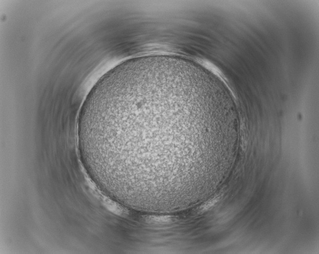 X0000057101431200509231704