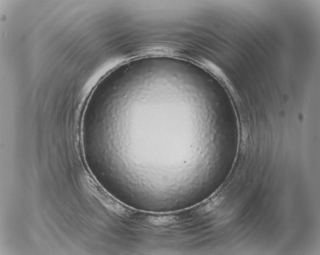 X0000057101435200509231704