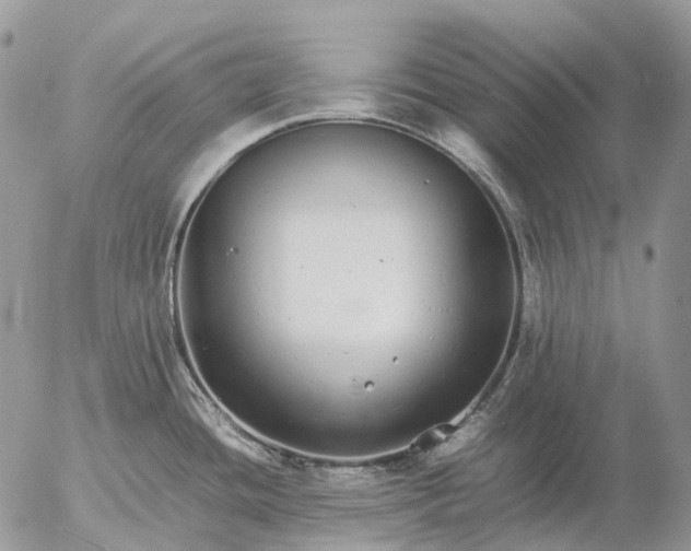 X0000057101436200509231704