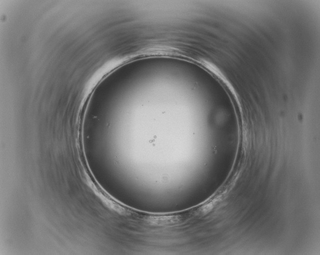 X0000057101437200509231704