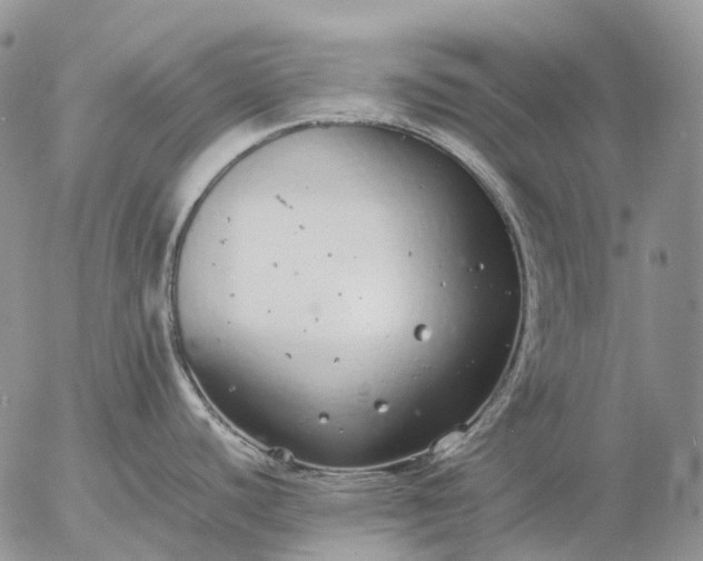 X0000057101440200509231704