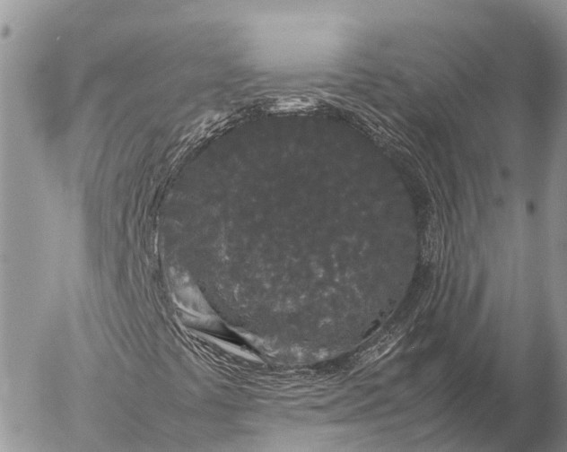 X0000057101441200509231703