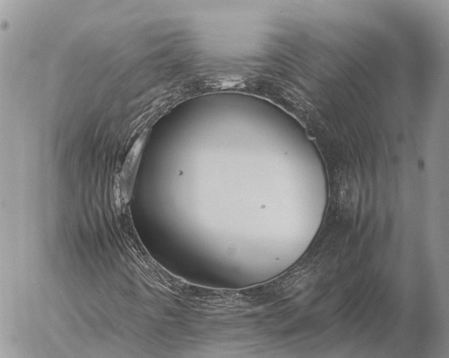 X0000057101442200509231703