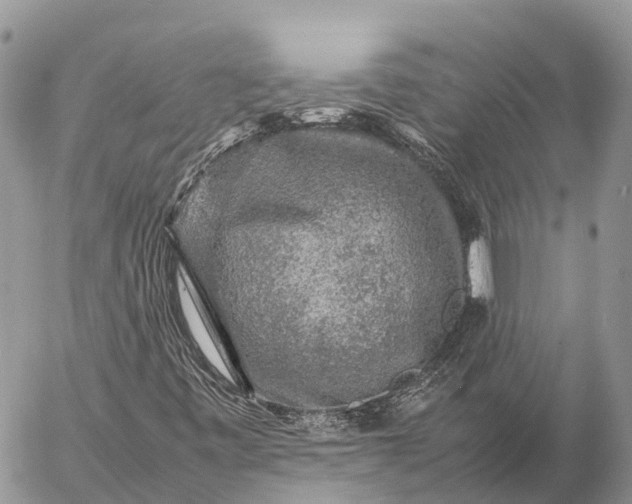 X0000057101443200509231703