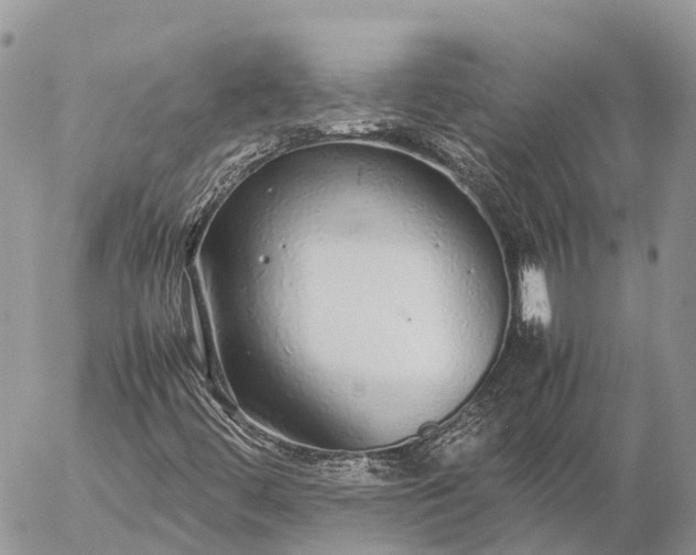 X0000057101444200509231703