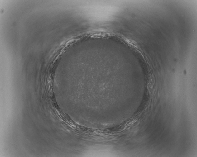 X0000057101445200509231703