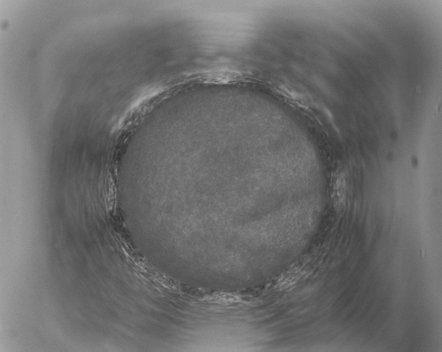 X0000057101446200509231703