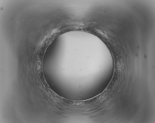 X0000057101447200509231703