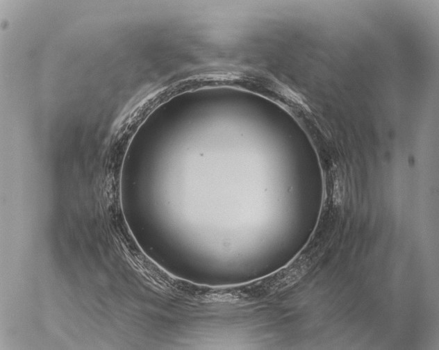 X0000057101448200509231703