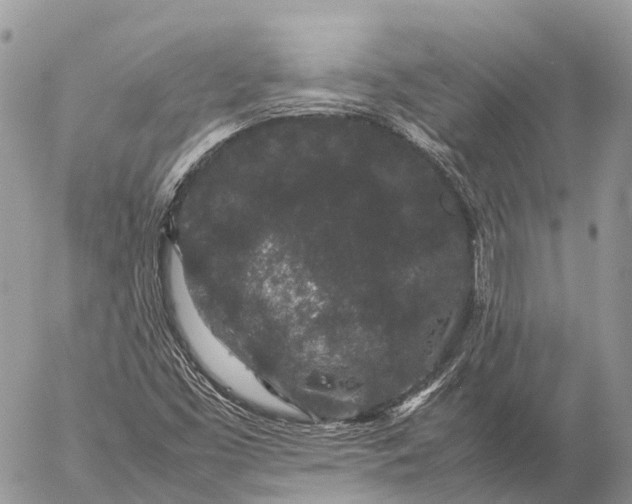 X0000057101453200509231703