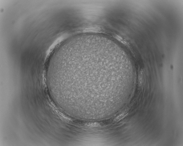 X0000057101454200509231703