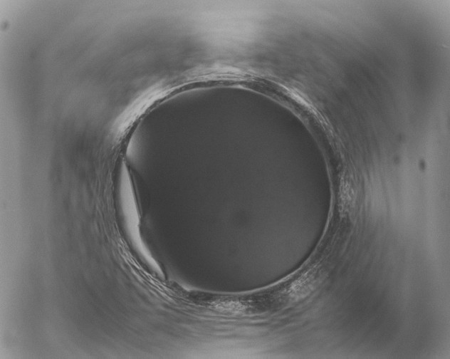 X0000057101455200509231703