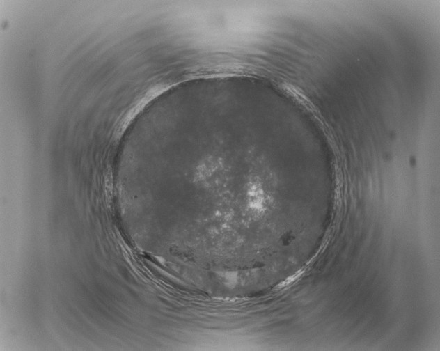 X0000057101457200509231703