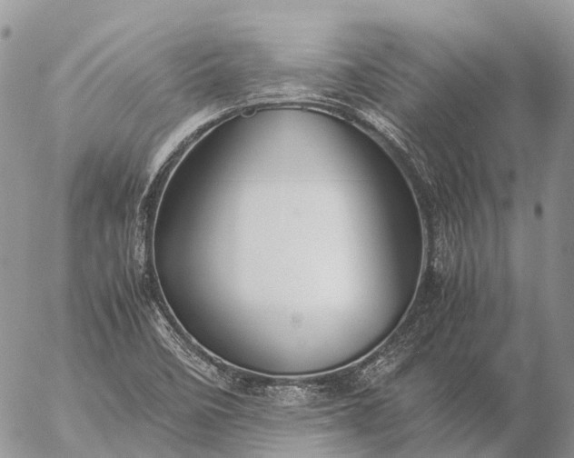 X0000057101458200509231703