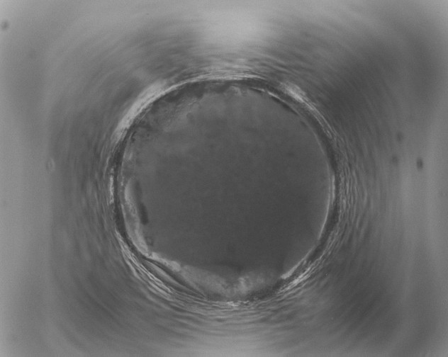 X0000057101459200509231703