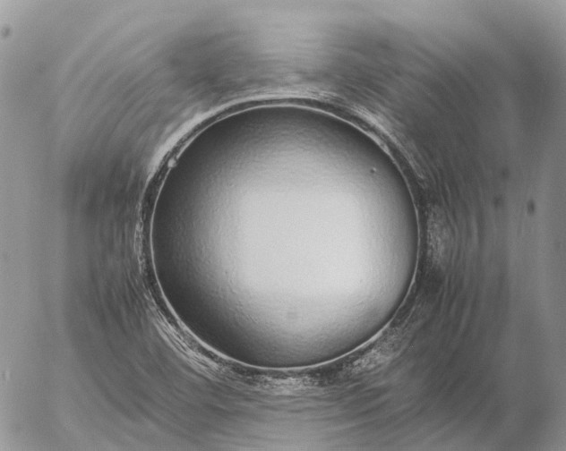 X0000057101460200509231703