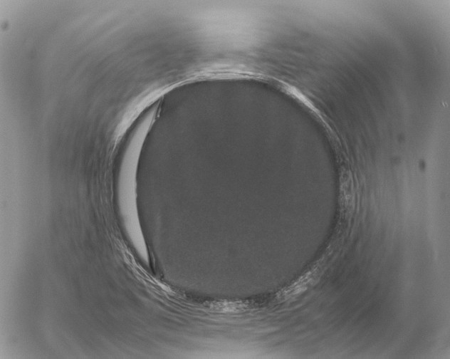 X0000057101461200509231703