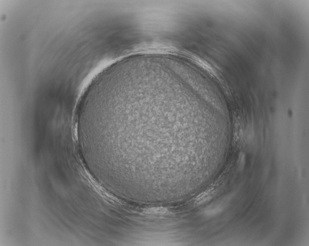 X0000057101462200509231703