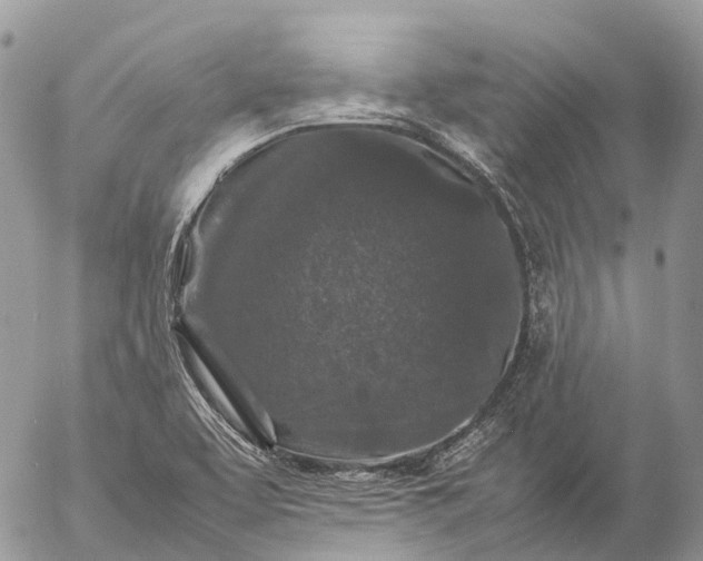 X0000057101463200509231703