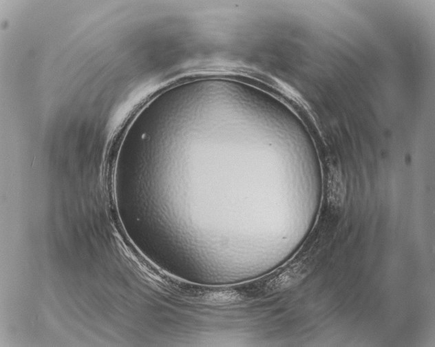 X0000057101464200509231703