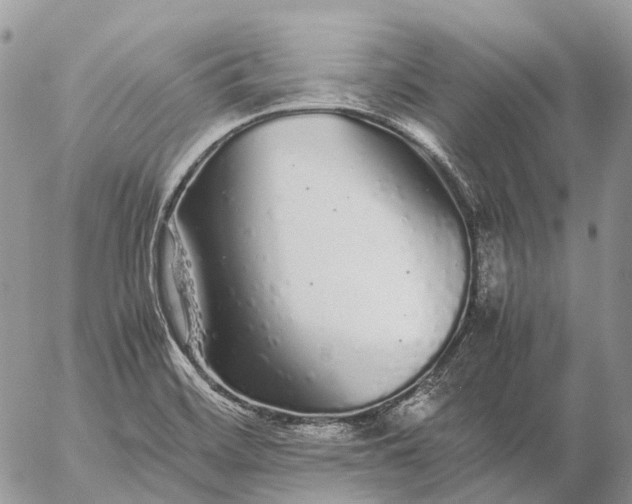 X0000057101468200509231703