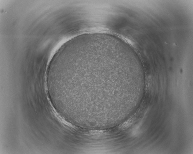 X0000057101470200509231703