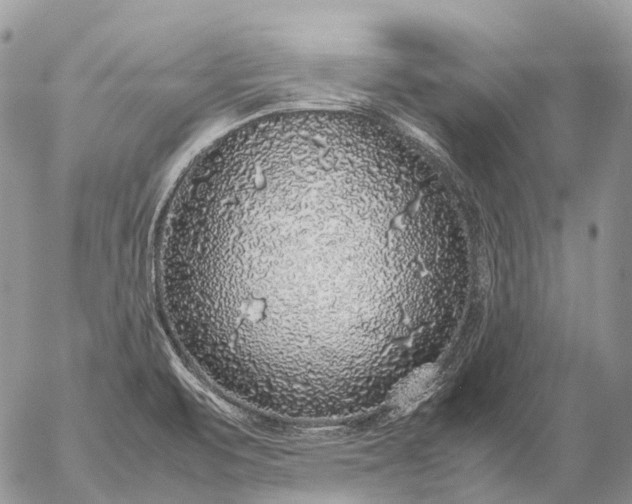 X0000057101471200509231703