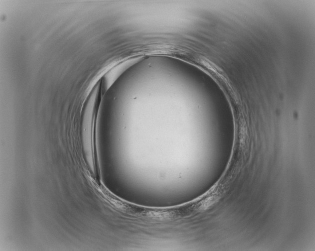 X0000057101473200509231703