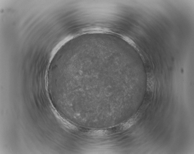 X0000057101474200509231703