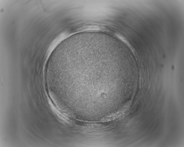 X0000057101475200509231703