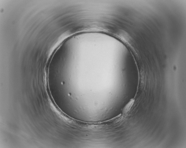 X0000057101476200509231703