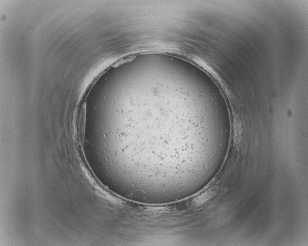 X0000057101477200509231703