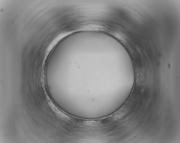 X0000057101478200509231703