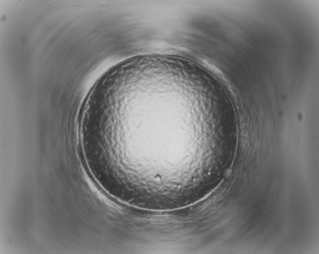 X0000057101479200509231703