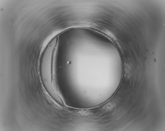 X0000057101480200509231703