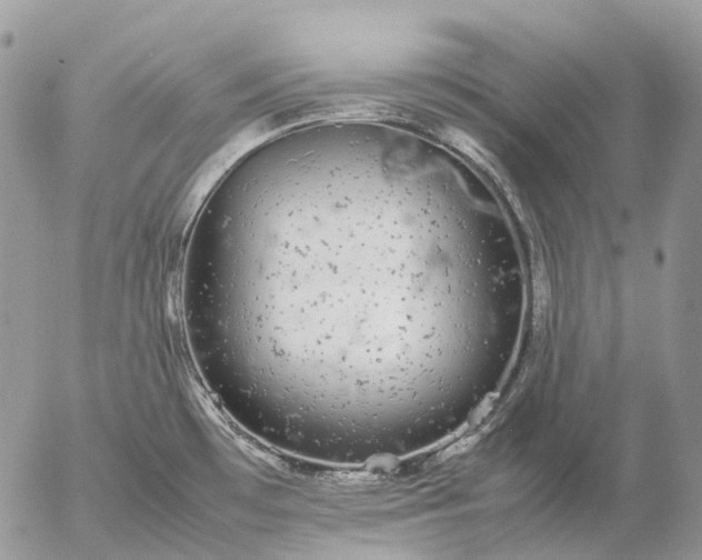 X0000057101481200509231703