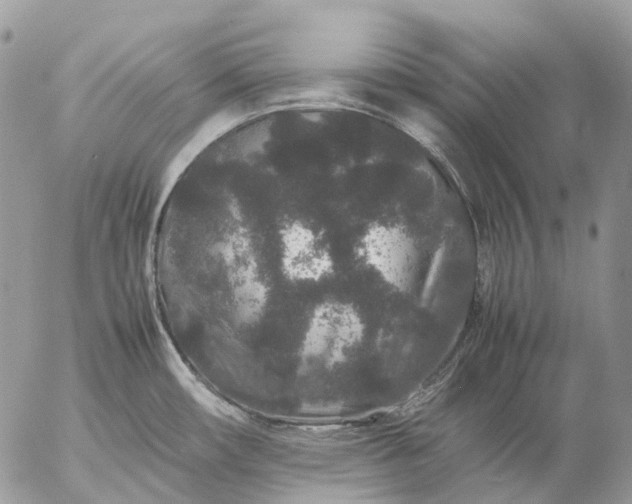 X0000057101482200509231703