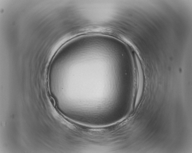 X0000057101483200509231703