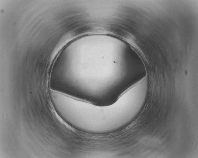 X0000057101484200509231703