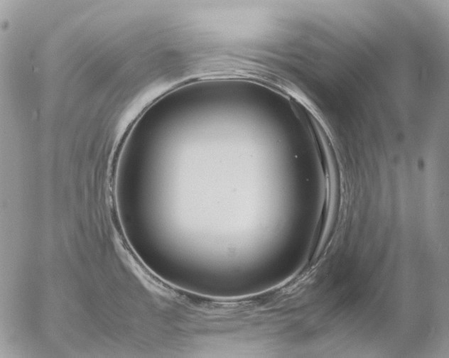 X0000057101485200509231703