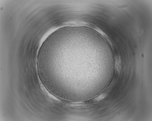 X0000057101486200509231703